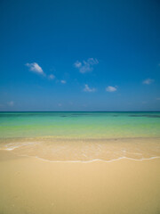 Peaceful tropical sea beach with gentle waves rolling onto golden sand under bright blue sky with fluffy white clouds. relaxing summer scene perfect scene for travel holliday and nature lovers