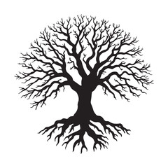 Obraz premium Large Tree with Exposed Roots Silhouette