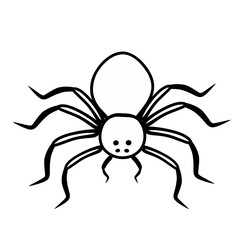 spider on a white background