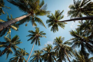Palm trees reaching towards a vibrant blue sky (1)