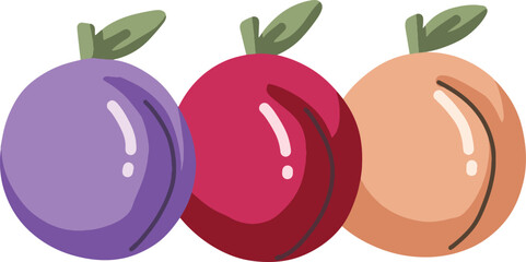 Colorful Plum, apple and peach Illustration