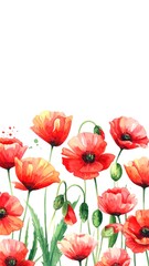 Fototapeta premium Watercolor poppy flowers