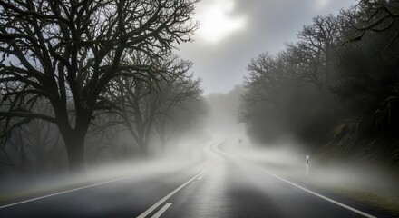 Eerie Fog Shrouds Winding Road Lined with Mossy Trees in a Mysterious Landscape