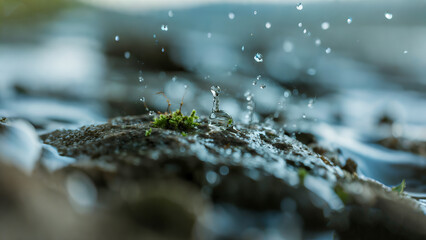 water drops on the grass