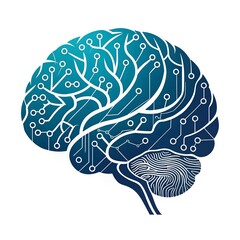 human brain  illustration