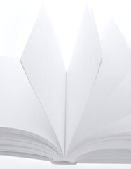 Open book, blank pages