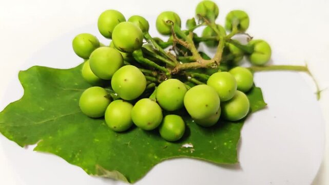 Pea Eggplants or turkey berry isolated on white background.