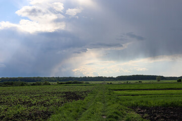 A wide rural landscape where various green fields and a line of trees converge on the horizon creates a striking scene. A gloomy, dramatic sky with sunbeams breaking through the clouds adds depth and 