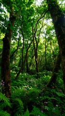 Fototapeta premium Lush green forest floor