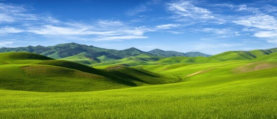 Obraz premium The breathtaking landscape of rolling green hills under a bright blue sky.