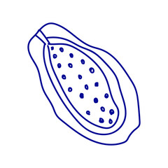 Papaya in doodle style on white background. Tropical fruit illustration.