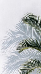 Green palm fronds cast a soft, blurry shadow against a textured white wall. Light and airy, creating a minimalist, natural aesthetic