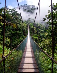 Obraz premium Lush jungle suspension bridge