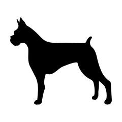 Dogo argentina dog dog svg cut file. Isolated vector illustration.