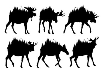 Set wild moose silhouettes with coniferous forest.
