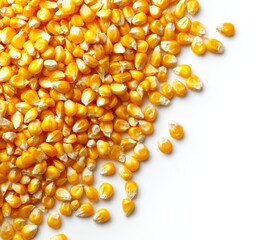 Fototapeta premium A pile of dried, golden-yellow corn kernels spills onto a pristine white background, showcasing their individual shape and texture