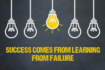 Success comes from learning from failure	
