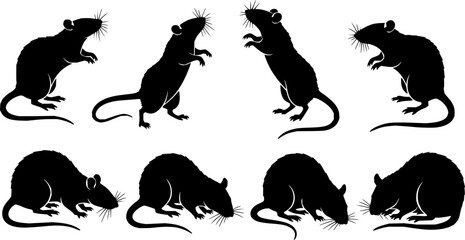 vector set, Silhouettes of rats
