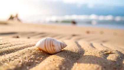 A close-up view showcases a solitary, pristine seashell resting on a sandy beach. The sunlight casts warm hues on the textured sand. Waves gently crash in the background, bathed in soft light
