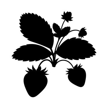 vector illustration of an strawberry tree