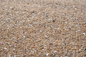 pebbles on the beach