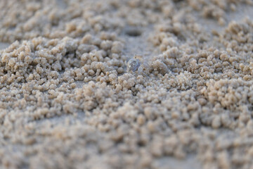 texture of the sand