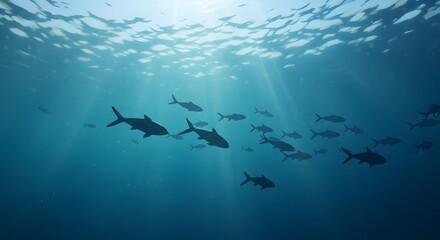 Obraz premium A school of fish swims in the sunlit ocean