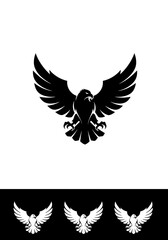 Obraz premium Apex of Shadow