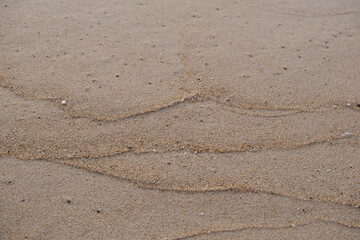 footprint on the sand