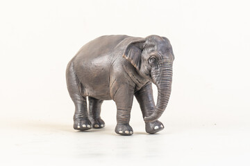 Obraz premium asian elephant on isolated background