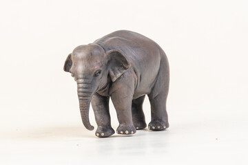 Naklejka premium asian elephant on isolated background