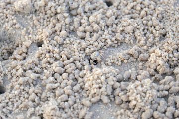 beach texture background