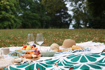 Romantic Outdoor Picnic Ros&eacute; Wine Fresh Food
