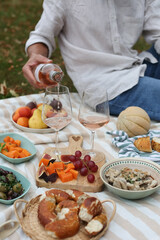Summer Picnic with Wine and Fresh Snacks Outdoors