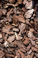 A pile of brown and reddish wood chips, commonly used as garden mulch, with some sunlight shining on them