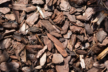 A pile of brown and reddish wood chips, commonly used as garden mulch, with some sunlight shining on them