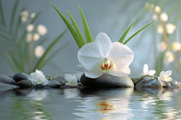 Keuken achterwand Spa A serene image of a white orchid adorned with water droplets, nestled amongst smooth grey stones and verdant foliage, reflecting in calm water  © Gamenin