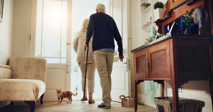 Retirement, back and old couple in home with cat, walking and health for heart rate. Sunlight, wellness and elderly people in house with cane, front door and leaving for daily cardio exercise. - Powered by Adobe