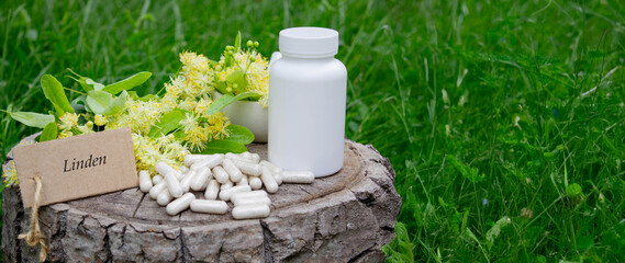 Phytotherapy with healing herbs, medicines, natural alternative plant vitamins and supplements.