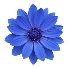 Fototapeta premium Azure Radiance