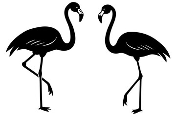 Flamingos standing silhouette illustration