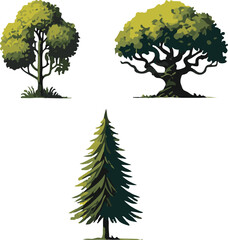 Obraz premium Set of Detailed Forest Trees Vector