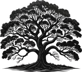 Emancipation Oak tree line art design