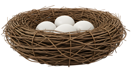Nest containing five white eggs made of twigs, set against a neutral background for nature themes