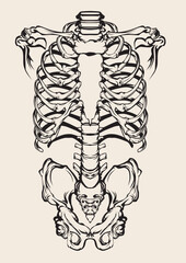 Vector Illustration of an abstract t-shirt design in background