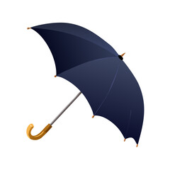 umbrella isolated on white background © Backdrop Bliss