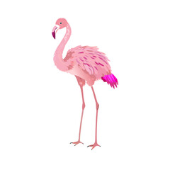 pink flamingo isolated on white
