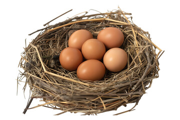 Bird nest with eggs image isolated on transparent