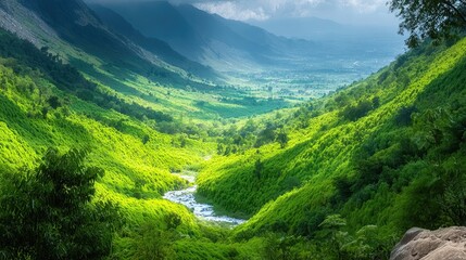 Naklejka premium Golden Sunlight Bathes Lush Green Rice Fields With Glistening Water Channels in a Tranquil Valley