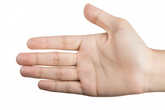 Human Hand Displaying Palm Against Abstract Pixelated Pattern open fingers isolated on a transparent background